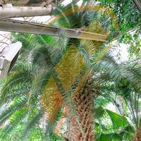 VR3 Volcano / РУ3 Волкано EC тепловентилятор водяной, арт. 1-4-0101-0444 / 6-0-0100-0444 / 6-0-0500-0444, цена ₽79422.61 (img.5)